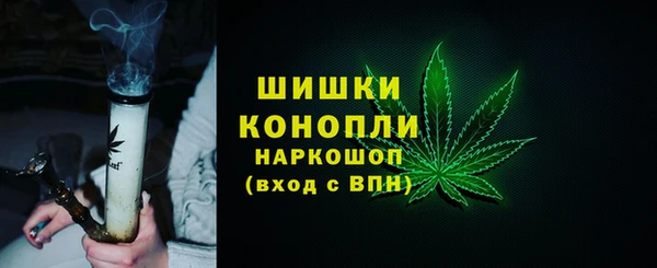 спайс Алзамай